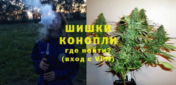 мяу мяу мука Магас