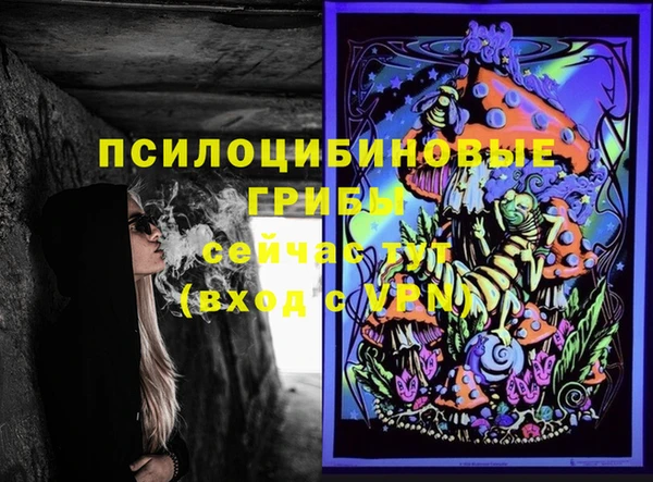 мяу мяу мука Магас
