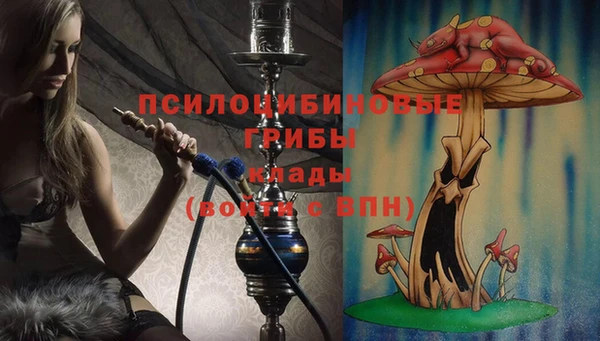 мяу мяу мука Магас