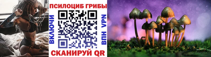 Галлюциногенные грибы Cubensis Урус-Мартан